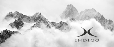 Компания Head купила бренд INDIGO