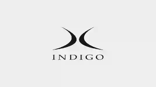 Лінійка гірських лиж Indigo 2015-2016