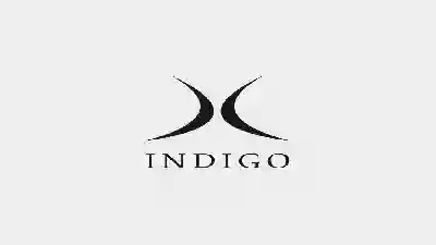 Линейка горных лыж Indigo 2015-2016