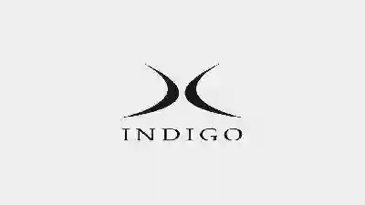 Лінійка гірських лиж Indigo 2015-2016