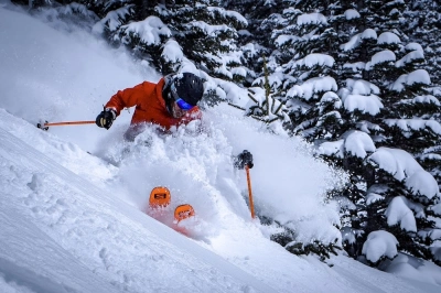 Обзор линеек горных лыж Salomon 2017