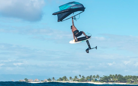 Slingshot wing Javelin V1